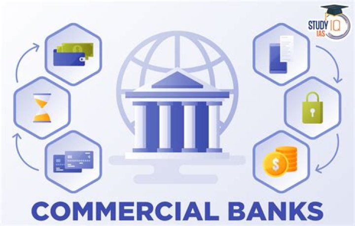 What role do commercial banks play in the financial system?