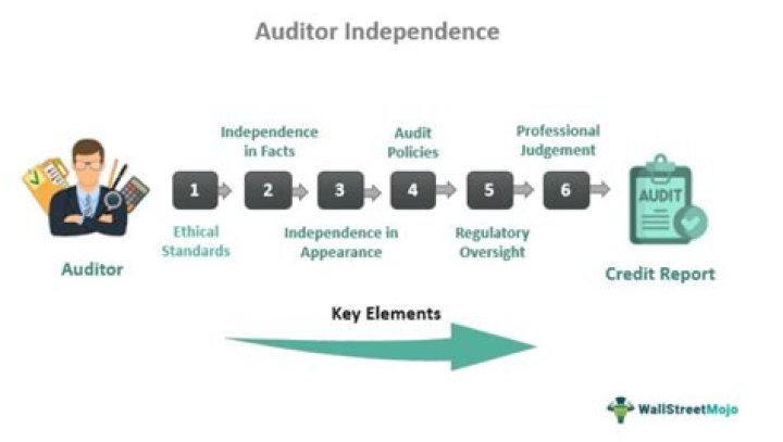What services can auditors provide?
