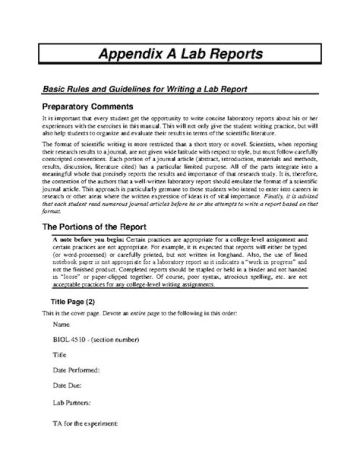 What should be included in the appendices of a report?