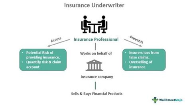 What three main sources of underwriter risk exist for insurers?