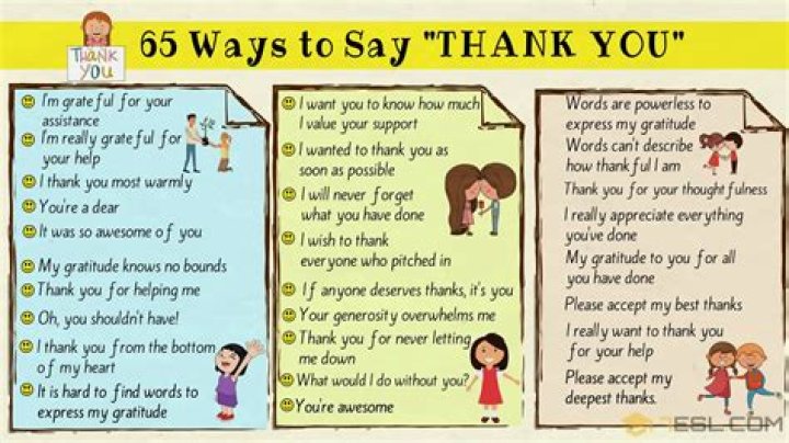 What to say when senior says thank you?