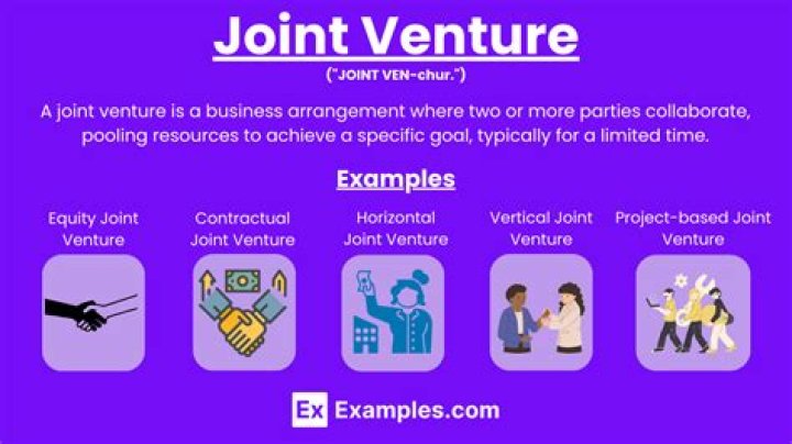 What type of business is joint venture suitable?