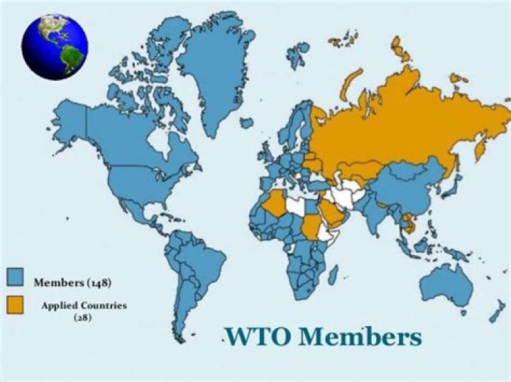 What type of help does the WTO give its member countries?