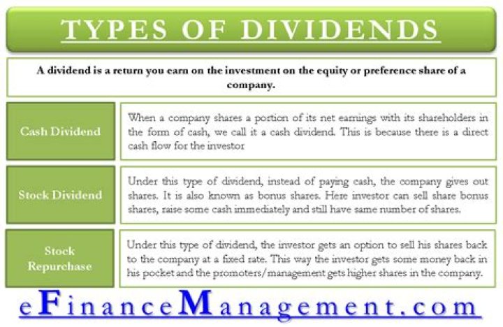 What type of investors prefer dividends?
