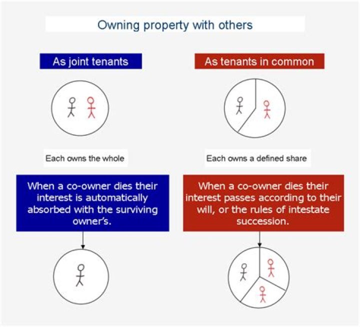 What type of ownership is tenancy in common?