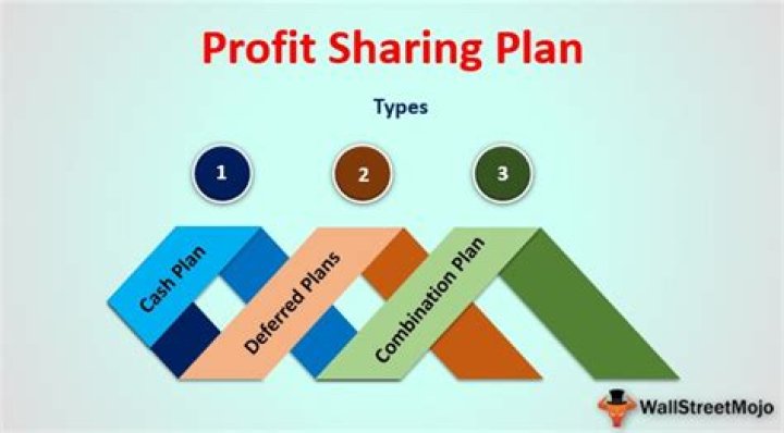 What type of plan is a profit-sharing plan?