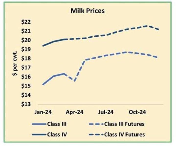 What was the price of milk in 1991?