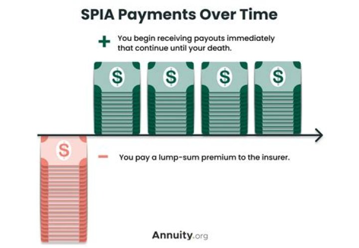 What will an immediate annuity pay?