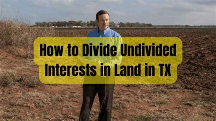 When a person owns an undivided interest in land they own?