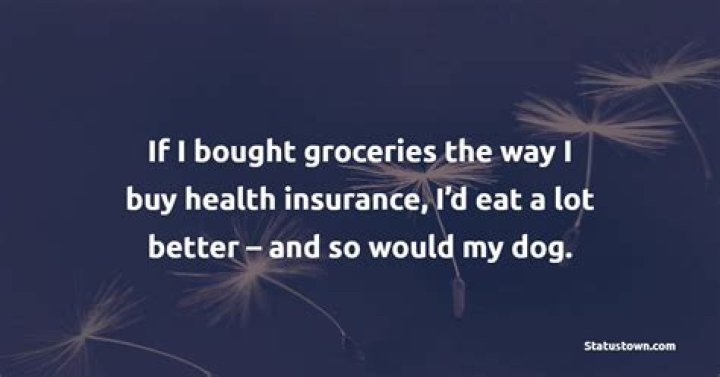 When can you buy dog insurance?
