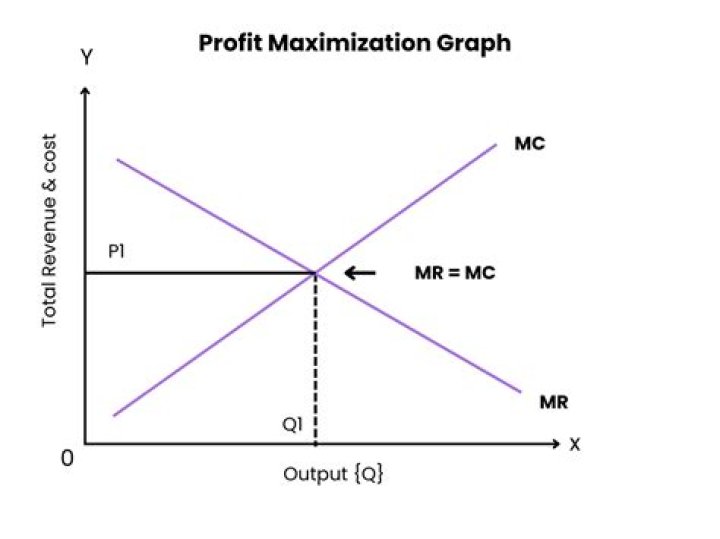 When profits are maximized profits are equal to?