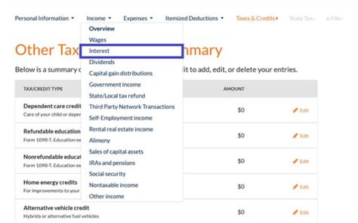 Where do I enter interest income?