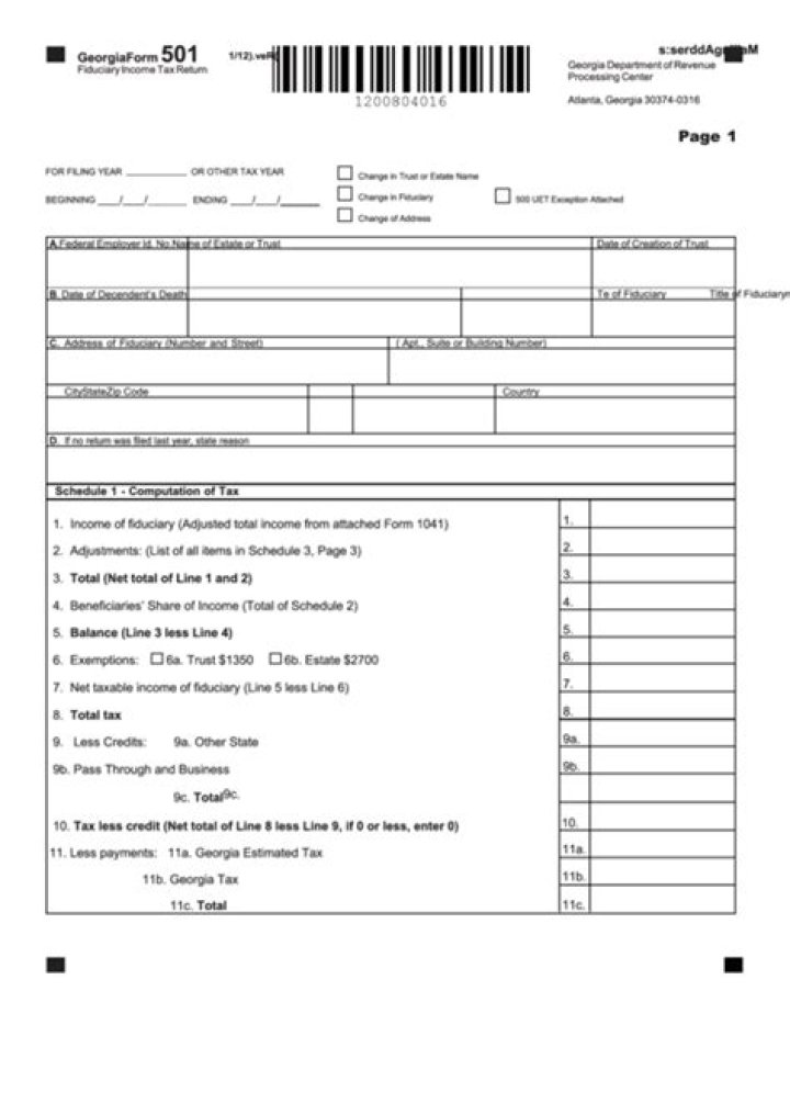 Where do I file Georgia Form 501?