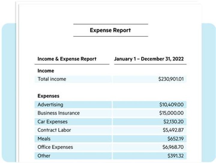 Where does a LLC report income and expenses?