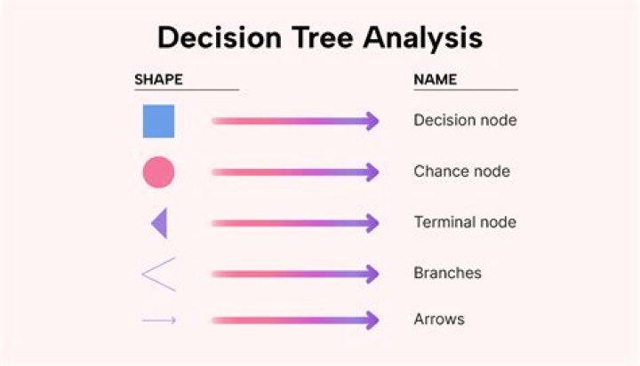 Where does decision-making occur?