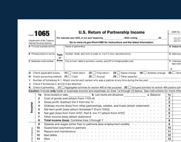 Where does rental income go on a 1065 tax return?