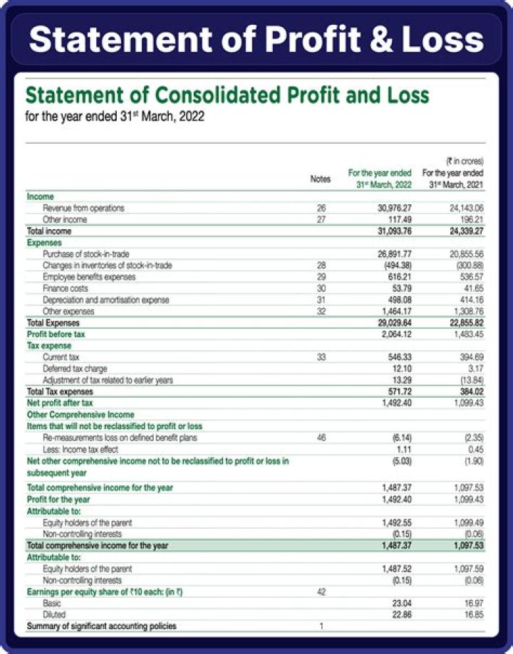 Where is profit and loss statement on tax return?