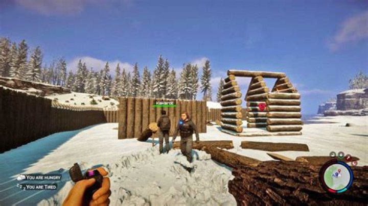 Where is the best place to have a cabin?