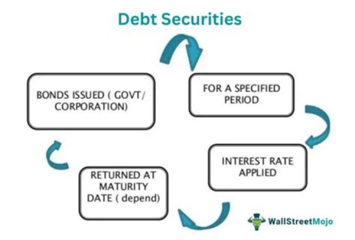 Which are the categories of debt securities?