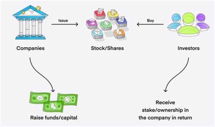 Which business ownership can sell stocks?