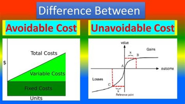 Which costs are considered as avoidable?