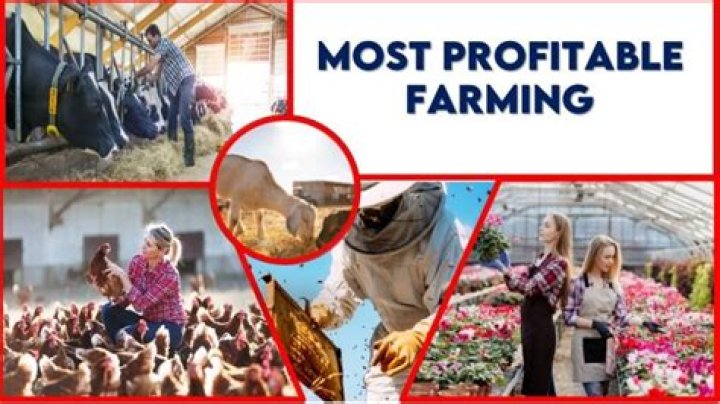 Which farm business is profitable?