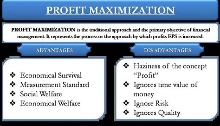 Which is better profit maximization or wealth maximization?