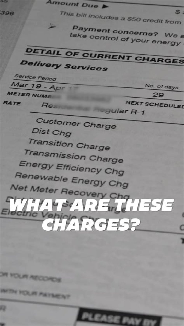 Which is correct, I have been paid or I have not been paid?