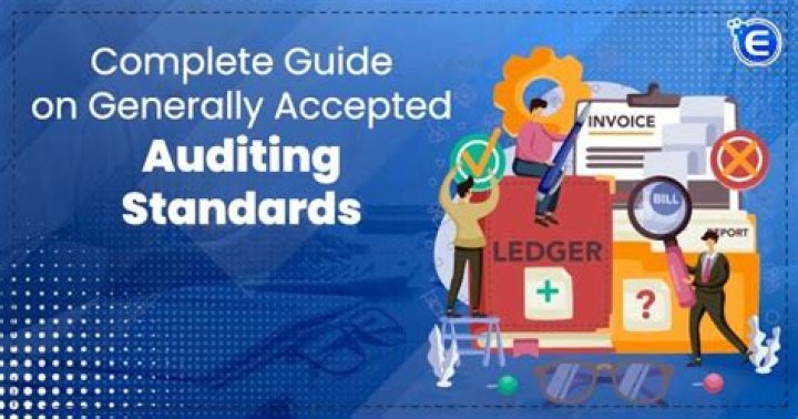 Which organization can issue auditing standards in the United States?