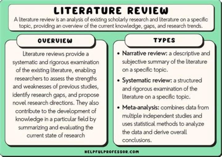 Which type of source is not typically included in a literature review?
