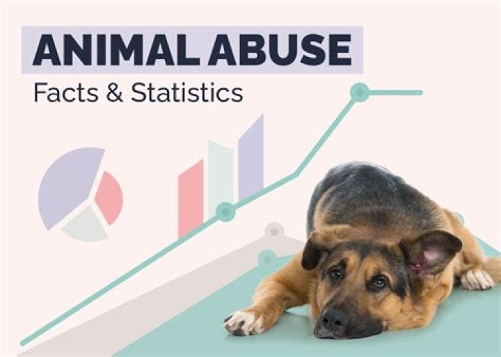 Who advocates for animal abuse?