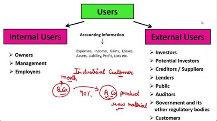 Who are the internal and external users of information explain giving examples?