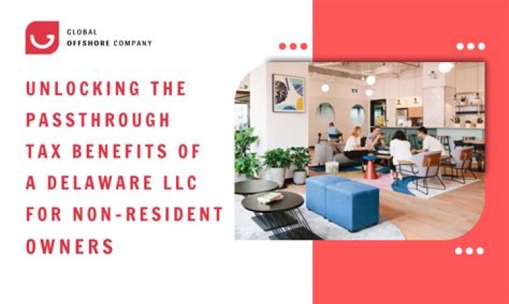 Who are the members of a Delaware LLC?