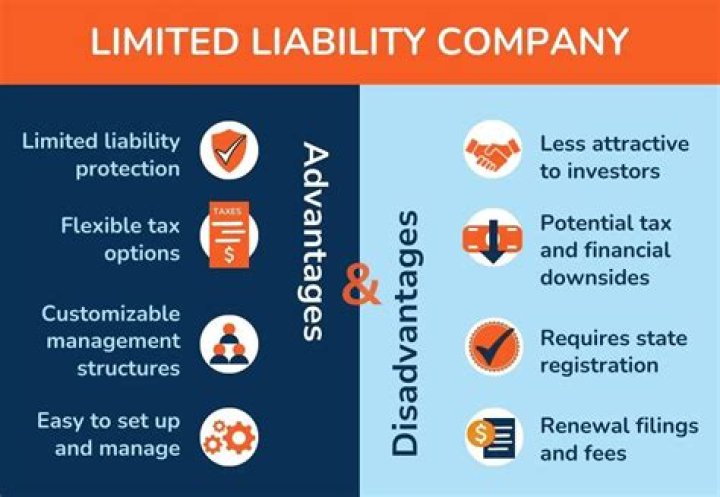 Who are the members of a limited liability company?