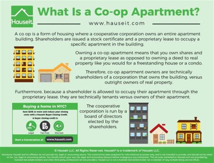 Who are the owners of a co-op apartment?