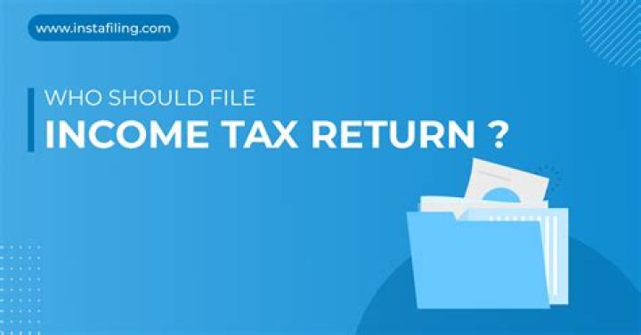 Who can file return under income tax Act?