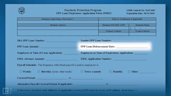 Who can help me fill out my PPP loan?