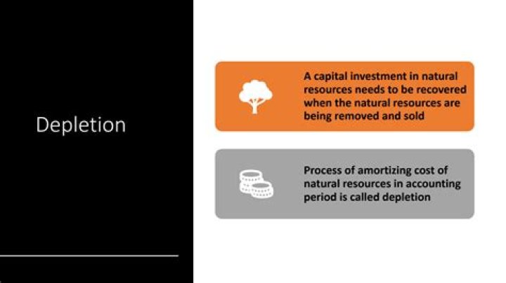 Who can take percentage depletion?