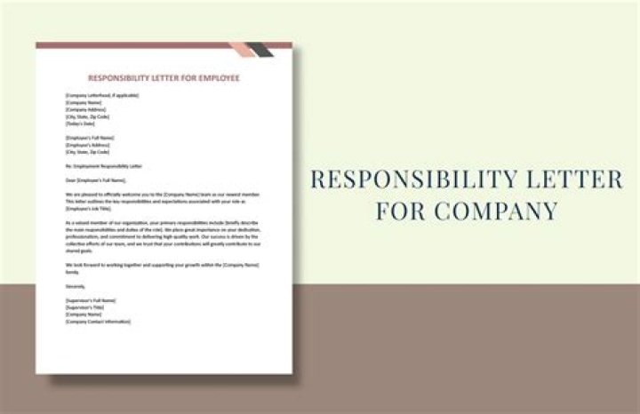 Who is responsible to file AMS?