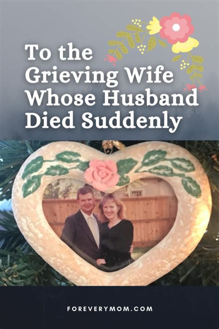 Who is the author of my husband just died?