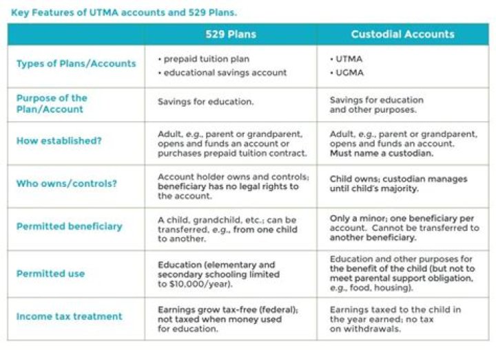 Who is the custodian of a 529 plan?
