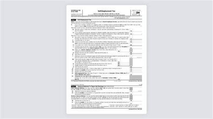 Who needs to fill out Schedule SE?