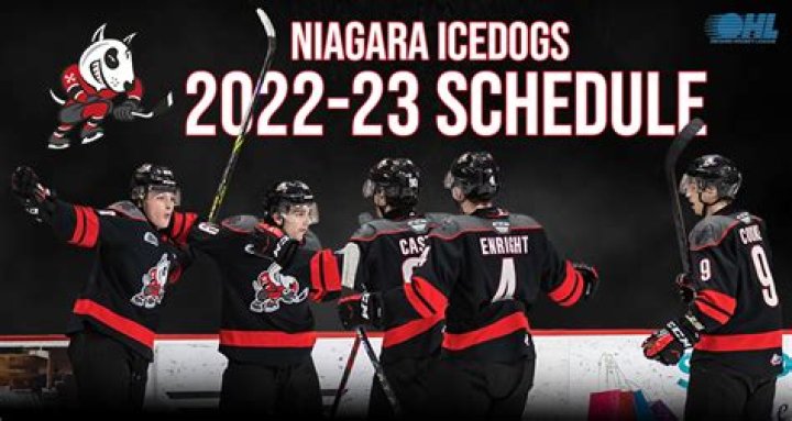 Who owns Niagara IceDogs?
