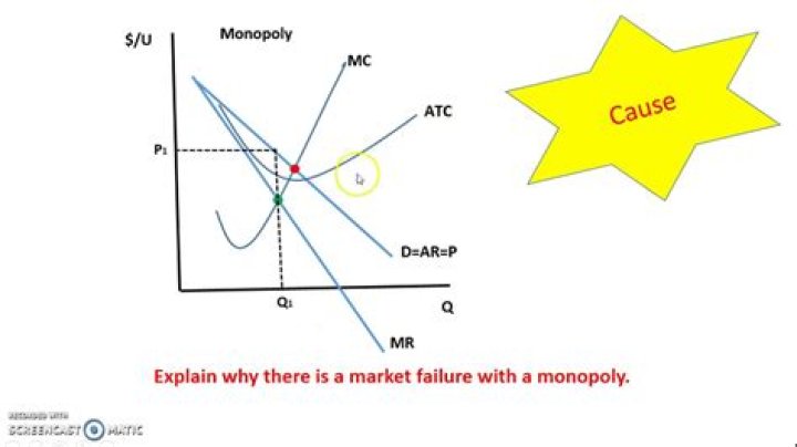 Why are monopolies not allowed?