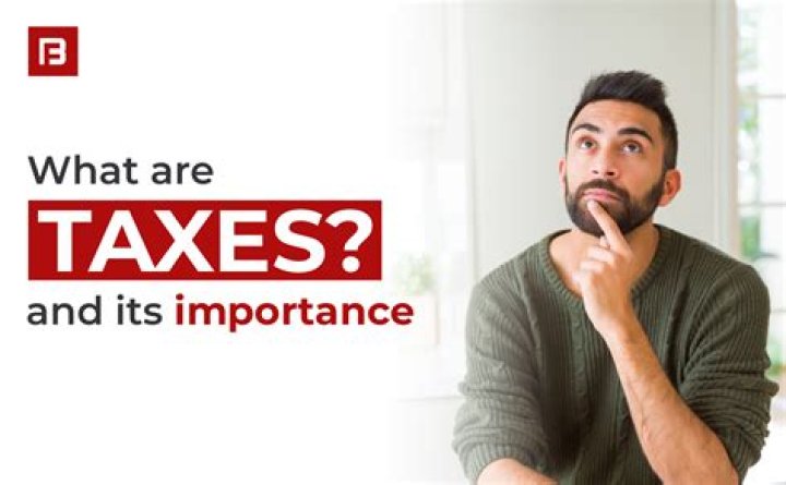 Why are taxes an important issue?