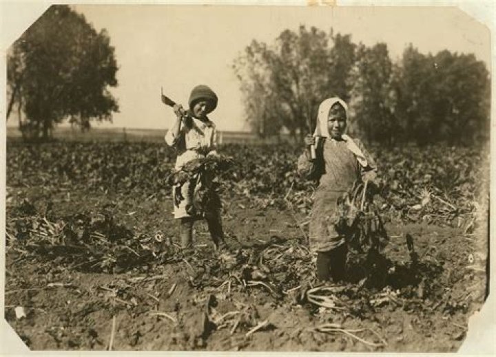 Why did fewer people have to work in agriculture now?