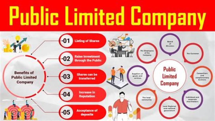 Why do companies become public limited?