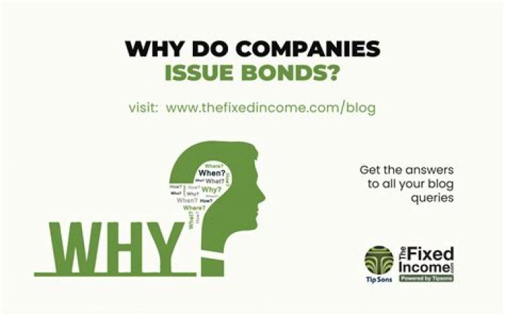 Why do companies issue bonds?