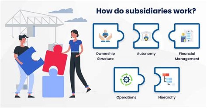 Why do companies make subsidiaries?