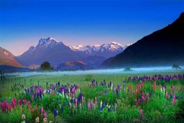 Why does it say my information does not match on IRS?